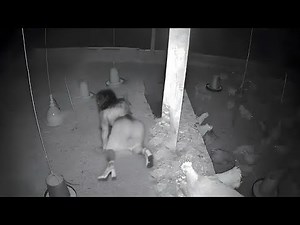 Caught in 4K! Funniest Security Camera Fails