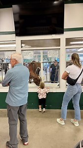 29 reactions · 4 comments | As an ag fair, education is one of our pillars. Learn about where milk comes from! You can also learn so much walking through the barns, reading the displays and talking to the people who raise these cows! | Evergreen State Fair | Facebook
