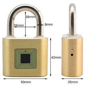[Hot Item] Brass Fingerprint Padlock 50mm USB Rechargeable Padlocks Without Apps WiFi
