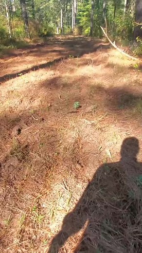 Lost and Found#relic #arrowhead #stone #nativeamerican | Norbert Johnson