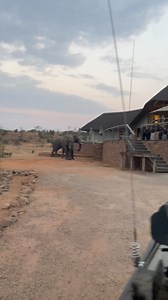 2.6K views · 18 reactions | Justin Fernandes on Reels | Facebook