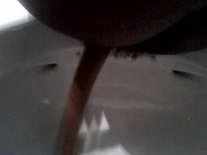 Massive Wednesday Turd