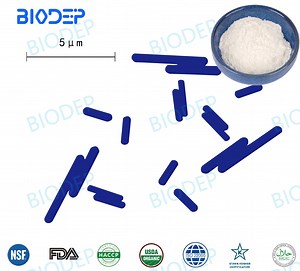 [Hot Item] 300 Billion Cfu/G Probiotics Lactobacillus Acidophilus