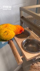 27 reactions | @babykiwiandmango are huge fans of our Natural Blend and Real Rewards treats!  | ZuPreem | Facebook