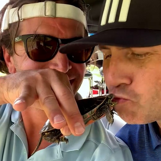 135K views · 606 reactions | Fun Animal Fact: A turtle kiss gives you seven years good luck! 藍 #InternationalKissingDay | The Pet Collective | Facebook