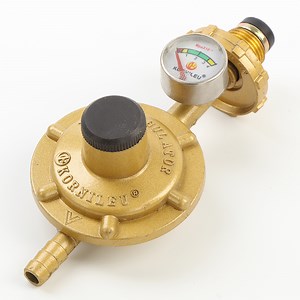 [Hot Item] Customized Color Propane Butane Gas LPG Cylinder Gas Meter Pressure Regulator