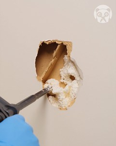 2.5K views | DIY Door Repair! | Adventure Panda | Facebook