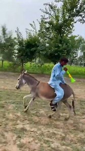 1.4M views · 36K reactions | Wait for Last Name 藍藍藍 #reels #funny #viral #trend #trending #fyp | Fun Point Extra | Facebook