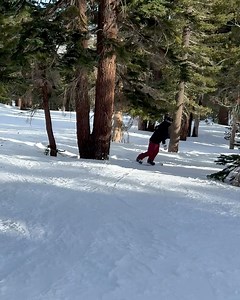 Rener Gracie on Reels
