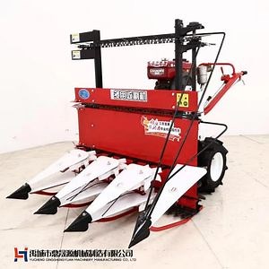 [Hot Item] Belt Output Mounted Harvester for Wheat and Grain Harvesting