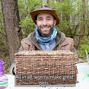 Coyote ventures out in central Ohio to find some WORMS! Have you ever wondered how to build your own worm farm?! Well you're in luck, because Coyote is about to show you! | Brave Wilderness