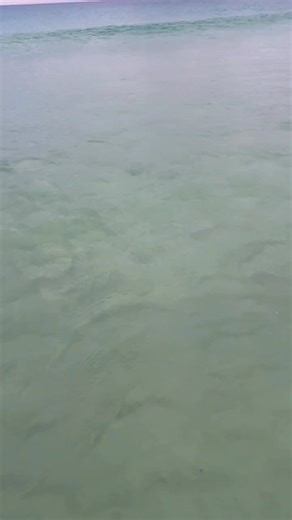 Taylor Ford on Reels