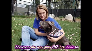 RESCUED 🎉 🚨Serious Adopter or Rescue needed for Betsy🚨 Eight-year-old Betsy has been looking out of her kennel for a few months now hoping that someone will stop for her. Sadly this beautiful girl has had ZERO interest. No one stops by her kennel, no one asks to meet her. She deserves to have the best life now, especially as it appears that she was overbred and neglected her whole life. She is sweet, gentle, and easy-going, making her a perfect addition to any family who is searching for big 