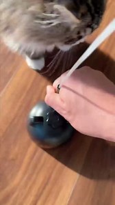 Interactive Cat Toys for Indoor Cats - Automatic Flying Bird Feather Toy, USB Rechargeable Electric Cat Teaser with Strong Sticky Base, Smart Motion Activated Self-Play Enrichment Toy for Bored Cats