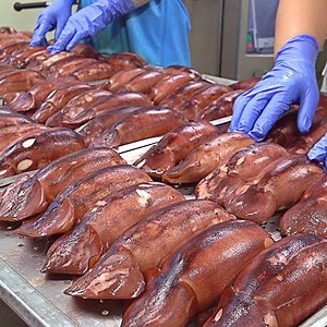 11K views | Mass production! Squid Sausage (Squid Sundae) Making Process Korean food factory | Gregory food | Facebook