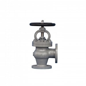 [Hot Item] Marine JIS F7314 20K Cast Steel Flanged Angle Globe Valve