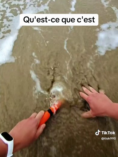 Vidéos de Nettoyage de la plage (@tiok995) au sujet de Getting A Promise Ring