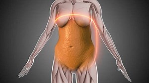 Animation de perte de graisse abdominale : vidéo de stock (100 % libre de droit) 3537766153 | Shutterstock