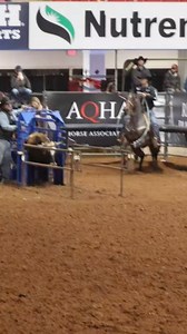 2023 Riata Buckle Champions 🏆 @jake_smith1039 and @douglasrich95 #classicrope #successisinyourhands | Classic Rope