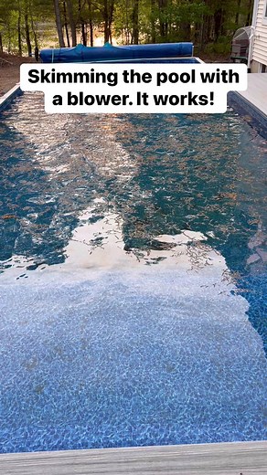 Using a blower to skim the pool. Watch until the end. #poolskimmer #madeinaustralia #cleanthesurfacefirst #poolmaintenance #pool #yearwarranty #builttolast #poolsurfacecleaner #poolcleaner #dragonflyfloatingpoolcleaner #amazingpool #stopscoopingleaves #qualityproduct #floatingsurfaceskimmers #poolprofessionals #originalfloatingpoolcleaner #qualityproductbuilttolast #poolservice #swimmingpool #poolcare #greatpoolcustomerservice #poolequipment #pooltime #swimming #somethingdifferent #professionalp