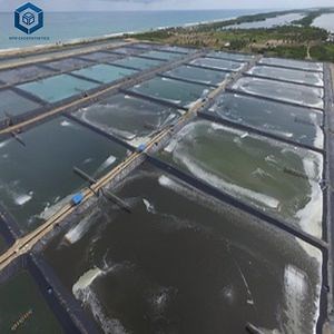 [Hot Item] Plastic Film Fish Pond Farm Tank Geomembrane Lining Pond Pool Liner