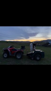 Super helpful Harley 😆😆 great night for picking up poooooo | That Dickhead Harley