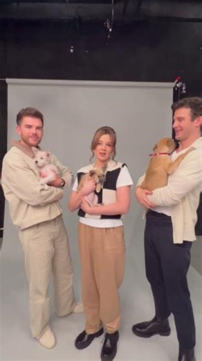 4K views · 135 reactions | Breaking news from the Ton! In celebration of #80YearsOfRescue and the release of Part 2 of Bridgerton, the delightful and talented cast of Bridgerton found their true love match – with our adorable puppies! Thanks, Luke Newton, Claudia Jessie, and Luke Thompson for your heartfelt message. ❤️ #GetYourRescueOn #Bridgerton #Rescue #Adopt #IYKYK BuzzFeed Celeb Netflix | North Shore Animal League America | Facebook