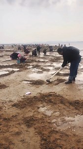 Amazing Smart Building Construction Technique | Discovery natural calm | Facebook