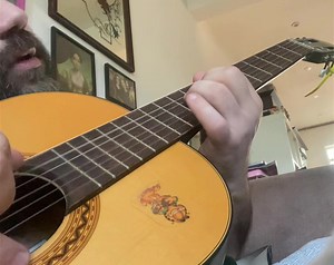 1.6K views · 109 reactions | Hope you’re all having a lovely holiday weekend. I’ve been playing this little charity shop Garfield nylon guitar all afternoon, absolutely love it. Who recognises this one? Should I play it on these solo dates? | The Magic Numbers | Facebook