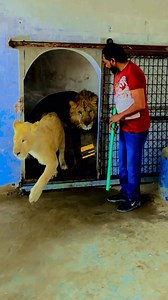 # # #nikahisprotection #TrustAndRespect #TrustAndRespect #MoralAwareness | Shero Ka Badshah