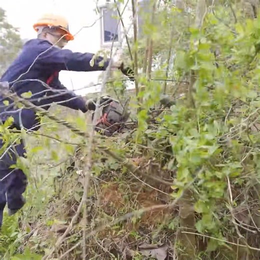 Mr. DONALD GOLD Burst Into Tears When He Received The Notice "The Villa Has Been Restored" - Part 2 #EpicCleanup #HistoryUncovered #LawnTransformation #cleaning #clean | CleanUp Crew
