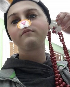 1K views · 37 reactions | Nothing is safe. #catburglar. | Lucas Grabeel | Facebook