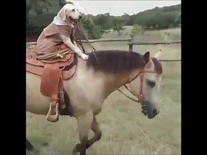 Sevdigim Kiz Gelin Olmus Benim Degil Elin Olmus. | Müzik Paylaşımı