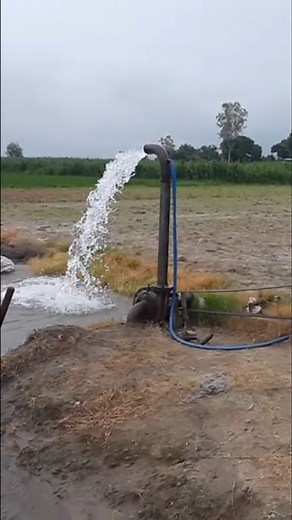 wow lister Engine #waterpump #waterflow #dieselengine | Indian Farmer