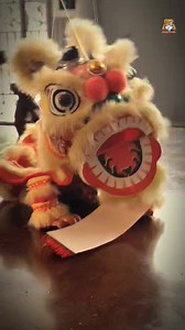 5.4K views · 325 reactions | Tarian singa.... Ira mengucapkan Selamat tahun baru cina buat keluarga belah cina dan rakan2 nya yg berbangsa cina.. Gong Xi Fatt Cai.. emmm | Bonraizu Production | Facebook