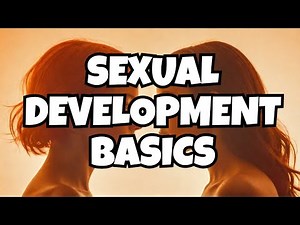 97. Female and Male Normal Sexual Development | OBGYN for USMLE Step 2 CK | Physiology