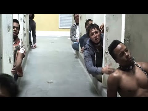 Like Dogs (2021) Film Explained in Hindi/Urdu Summarized हिन्दी