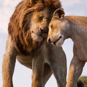 40K views · 869 reactions | Available to download and stream from 11th July, get ready for the brand new The Lion King OST!  | Walt Disney Studios | Facebook