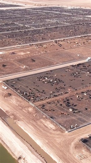 Did you know that billions of OUR taxpayer dollars are being invested by the World Bank to support factory farming? The World Bank is made up of 189 member countries, of which, your country is likely a member of. This bank should be supporting agricultural projects that prioritize sustainable and equitable food systems. Instead, they’re mainly supporting large scale factory farming practices that devastate our land, water, and local communities. Industrial animal agriculture is responsible for r