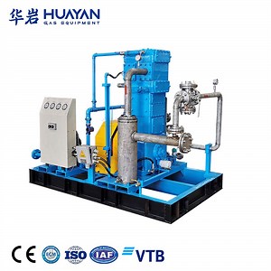[Hot Item] Piston Natural Gas Reciprocating CNG Oil Well Gas Compressor