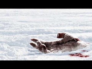 What If Your Shortcut Led You Straight to Cannibals? | Wrong Turn 2003 Full Explained