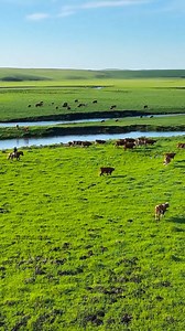 4.1K views · 96 reactions | The yurt, green grass and countless sheep and cattle make for a picturesque scenery.  | Across Inner Mongolia | Facebook