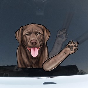 Bear the Chocolate Labrador Retriever Wipertag Decal and Paw Attach to Rear Wiper Blades. Detachable, Interchangeable, Weather Resistant. - Etsy