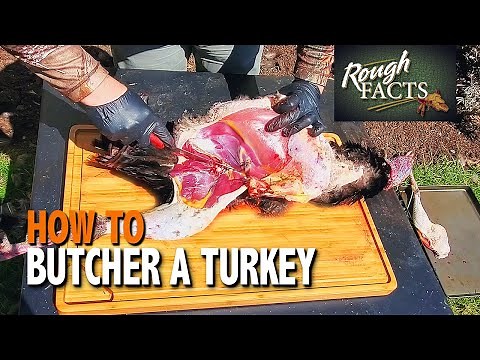 Butchering Turkeys 101 (Breaking Down Whole A Turkey) | HOW TO | CATCH CLEAN COOK