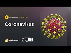 Coronavirus | Microbiology Video | Medical Online Education | V-Learning | sqadia.com