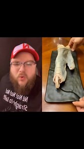 Wait a minute.... | Brandon J McDermott