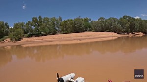 'It's Alive! Cool!': Boaters Rescue Sawfish Trapped in Net