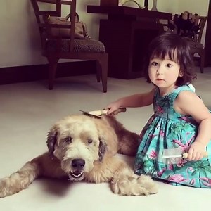 44 reactions | Scarlet Snow is grooming their dog. So adorable! ❤ "The ultimate groomer! Good girl @scarletsnowbelo  #teamsnowybear #doglover" Like and Follow Scarlet Snow Belo Team! | Scarlet Snow Belo Team | Facebook