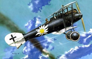 Rare Gallery wallpaper