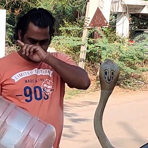 Thank goodness that snake could be charmed! 🐍🏍😱 See more incredible videos like this: https://bit.ly/2Nfnmlw Credit: @Newsflare | Stirred Up